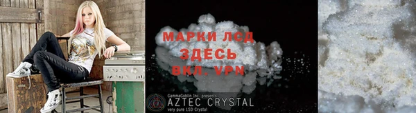 индика Алексин