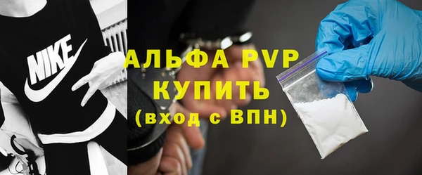 индика Алексин