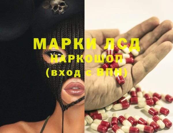 индика Алексин